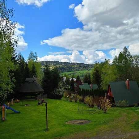 Domki Nad Potokiem W Baligrodzie Екстер'єр фото