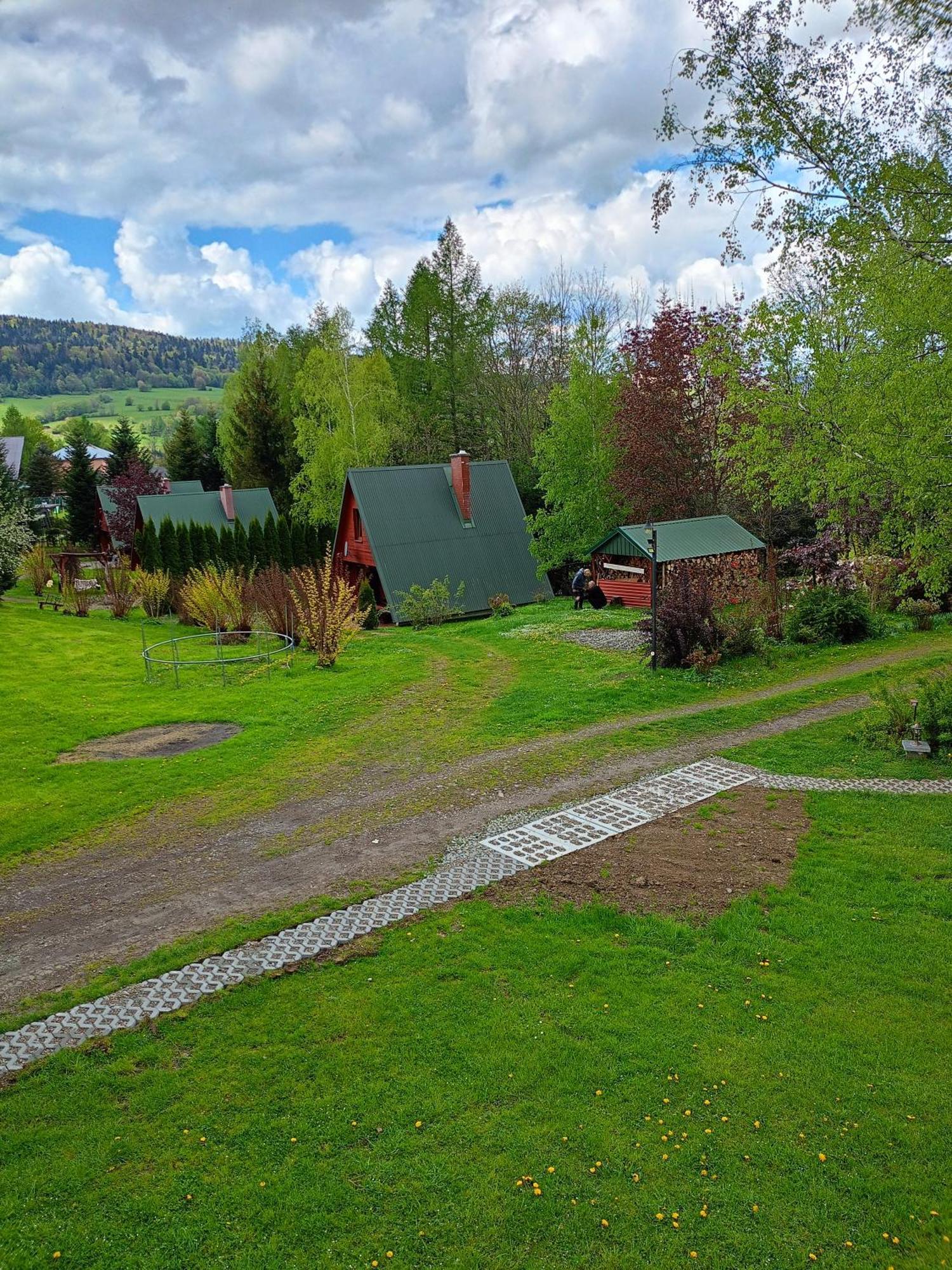 Domki Nad Potokiem W Baligrodzie Екстер'єр фото